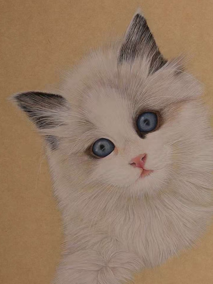 Finished gongbi portrait of the kitten